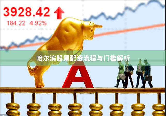 哈尔滨股票配资流程与门槛解析